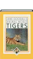 Humble Book Bundle Stranger Creatures Supporting The Jane